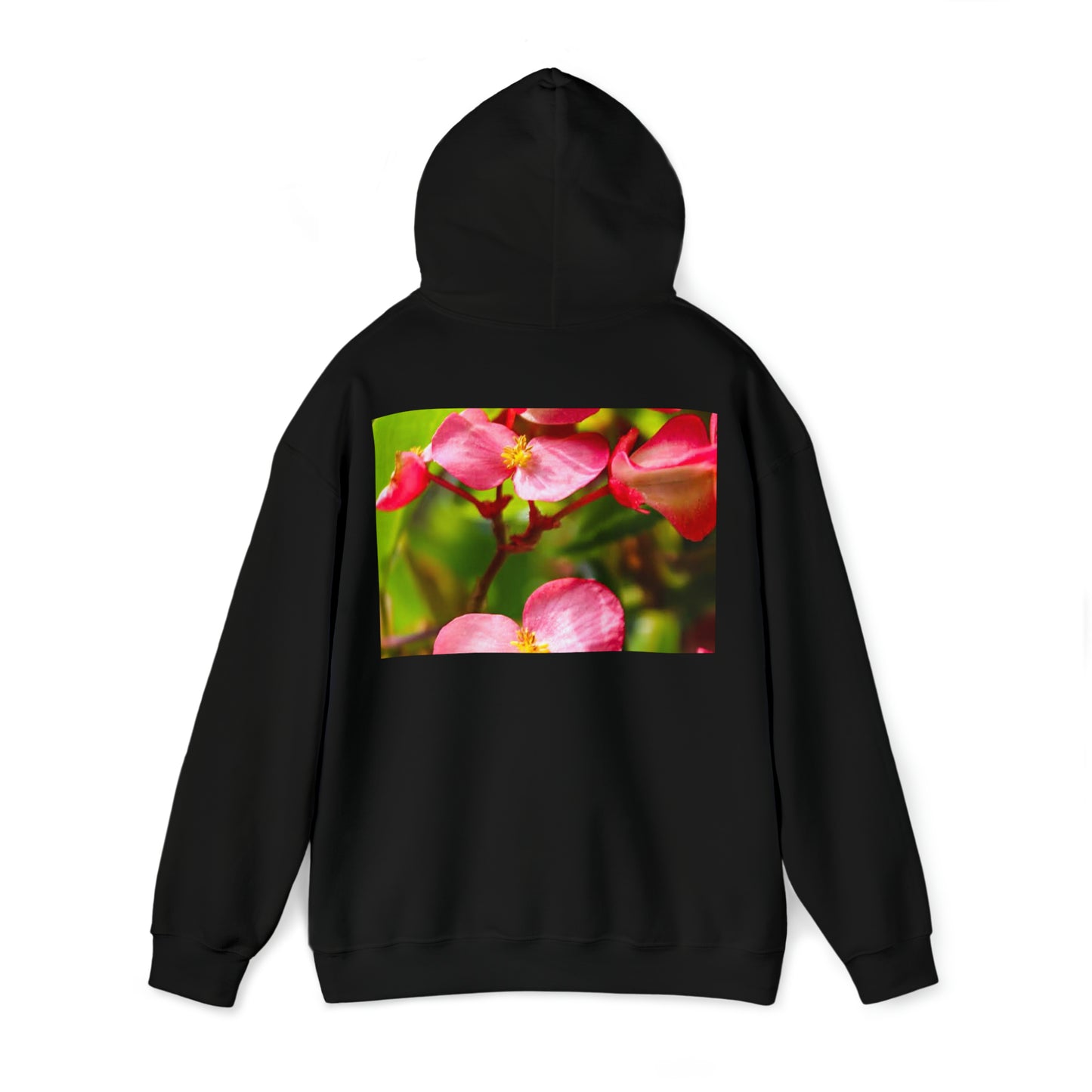 VeeSnapX Hoodie