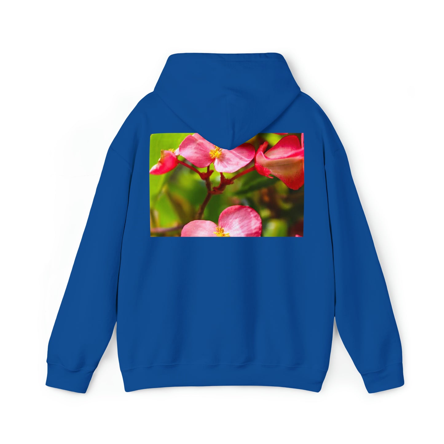 VeeSnapX Hoodie