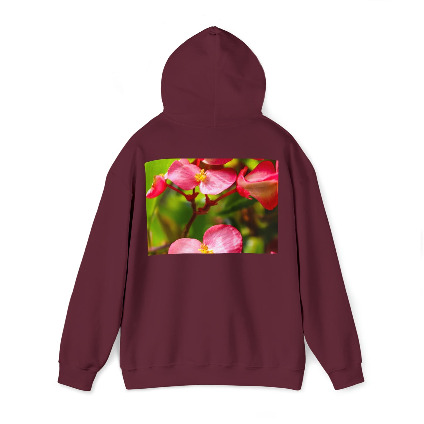 VeeSnapX Hoodie
