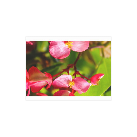 Pvnk Flowers print