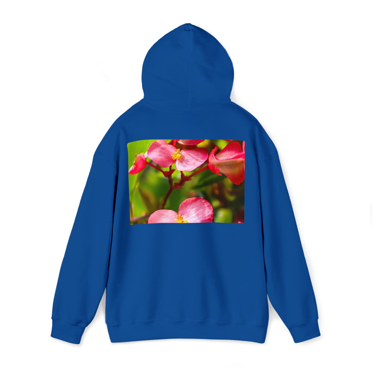 VeeSnapX Hoodie