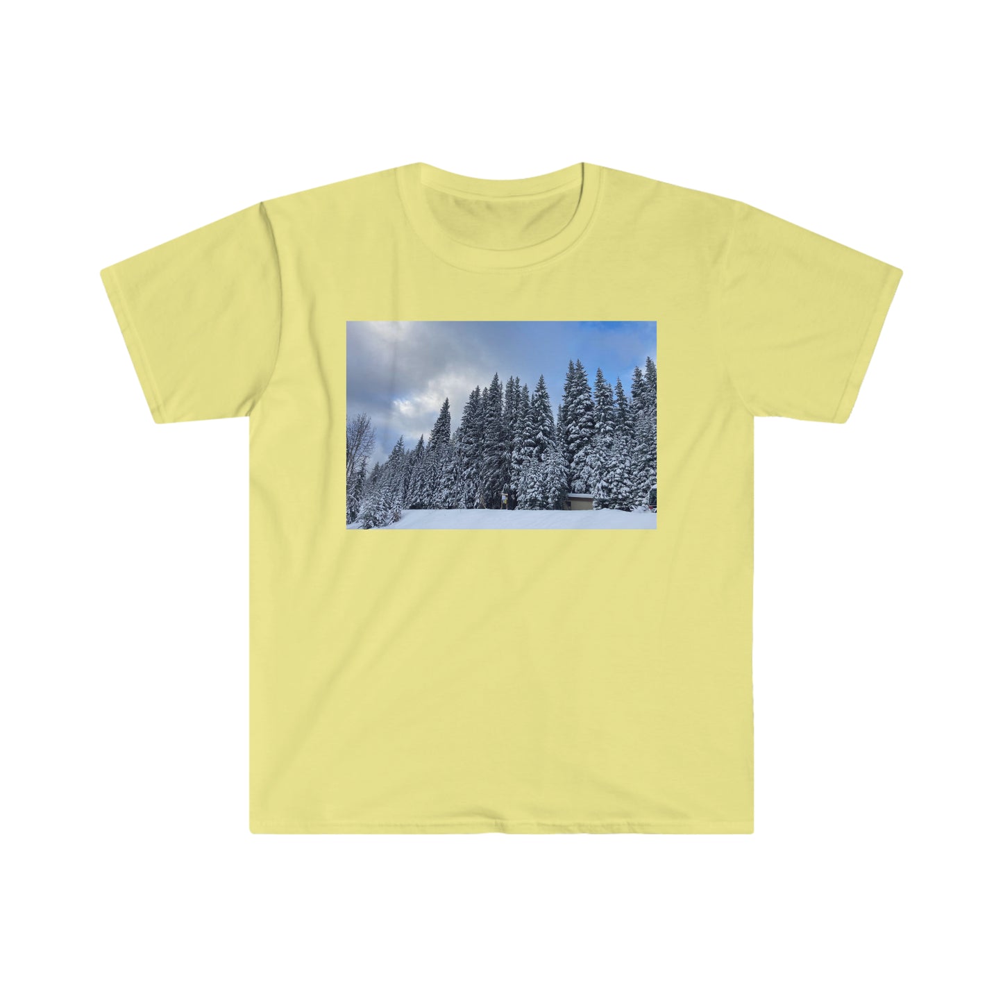 Idvho Mountain T-Shirt